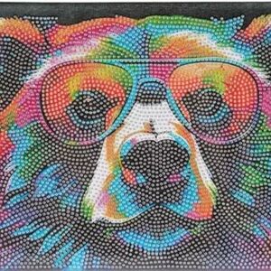 Hobby Lobby RAINBOW BEAR Diamond Painting